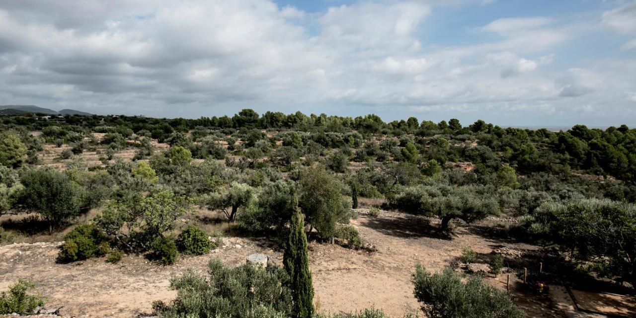 Finca Jabali 토르토사 외부 사진